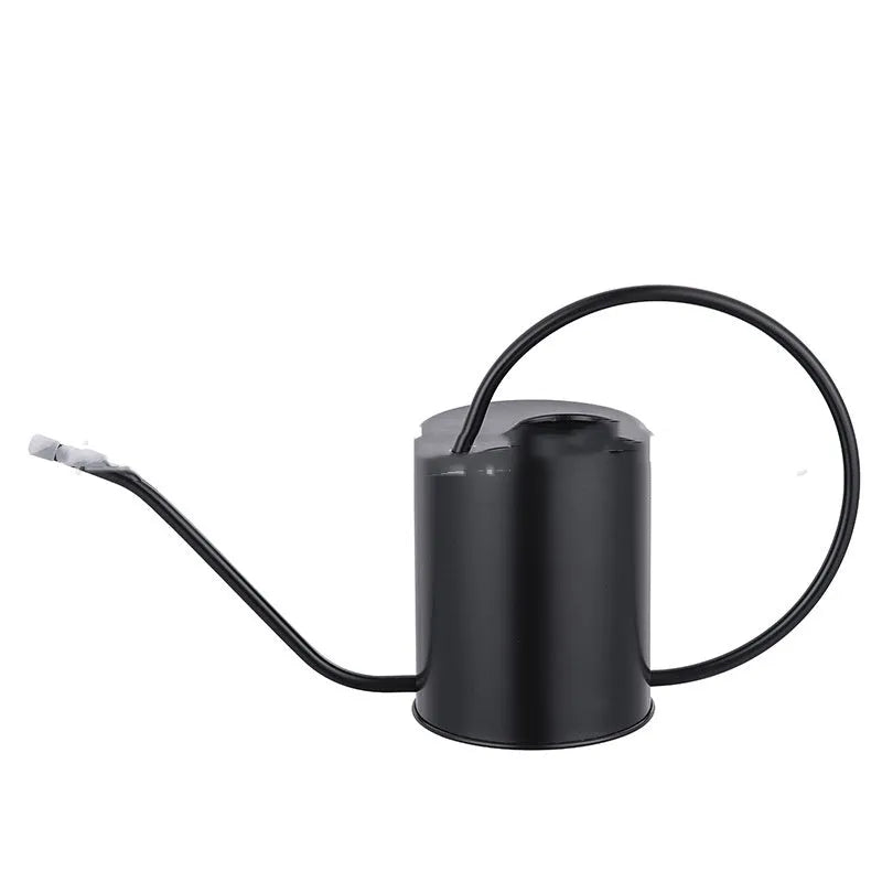 Stainless steel 2 litre watering can with a long spout, shown in black, gold, and silver colour options.