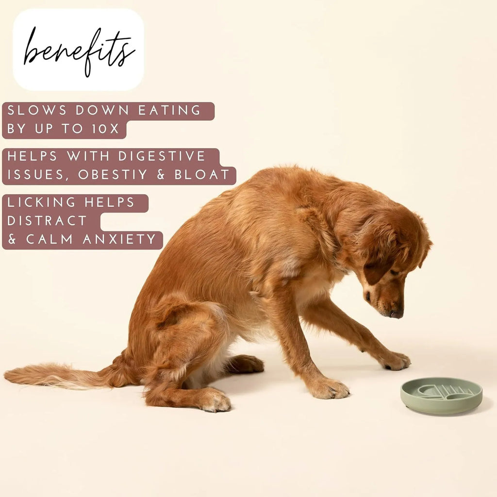 Silicone slow feeder dog bowl with textured ridges, shown in mustard green colour