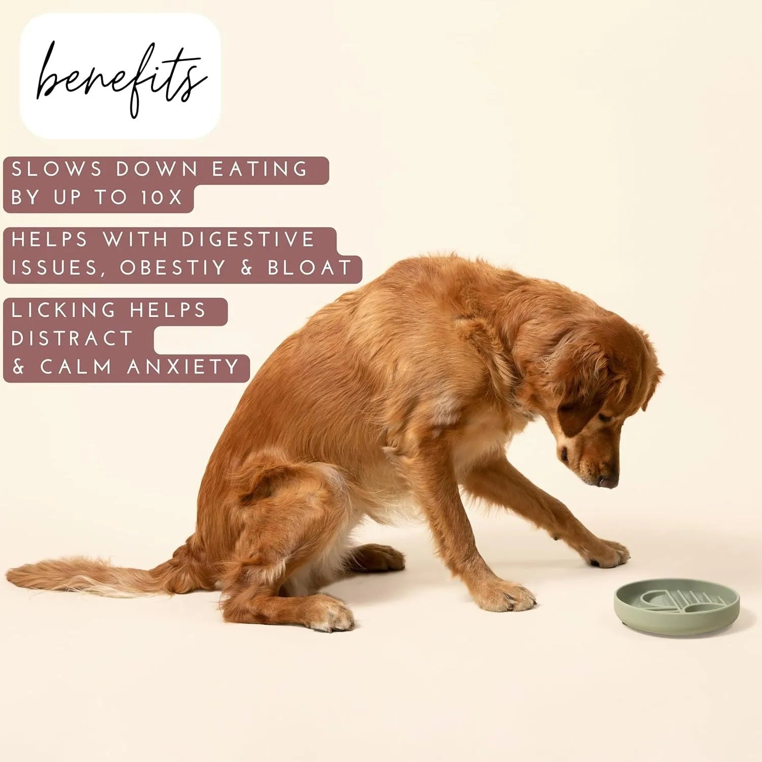 Silicone slow feeder dog bowl with textured ridges, shown in mustard green colour