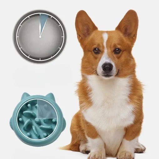 Green slow feeder dog bowl with raised bone-shaped ridges inside