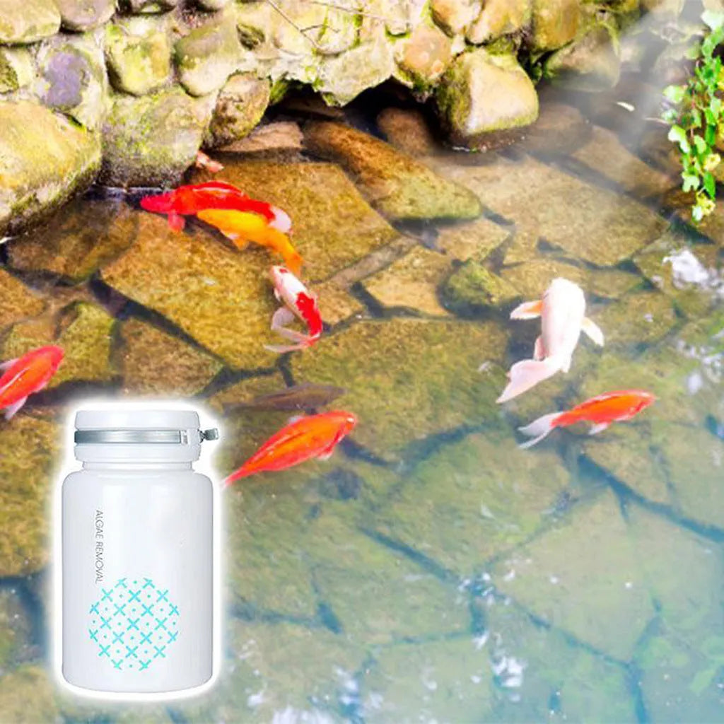50g algaecide packet for swimming pool green water removal and black hair algae treatment safe for water grass