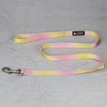 Gradient colour nylon dog leash set with collar, bracelet, and chest strap options in pink/yellow and purple/green combinations