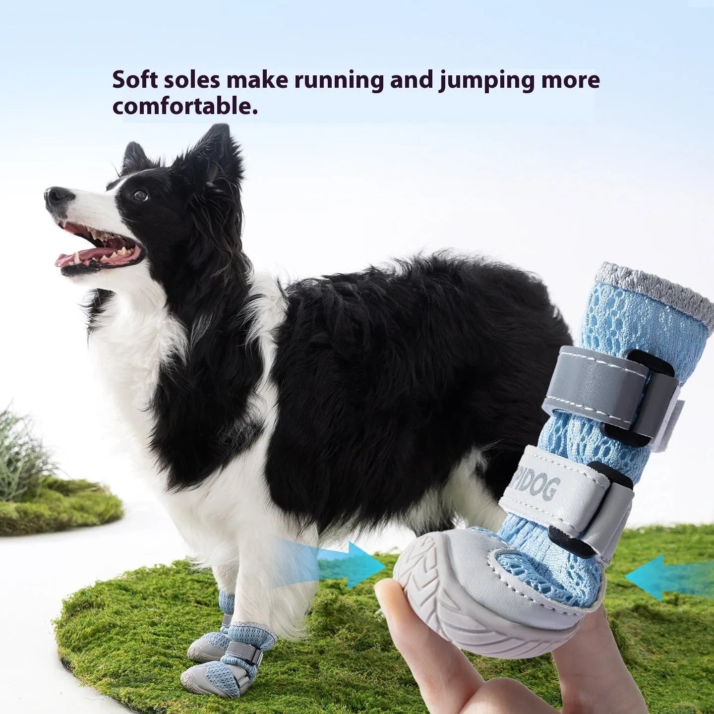 Cartoon style dog shoes in Bondi Blue colour for summer heat protection