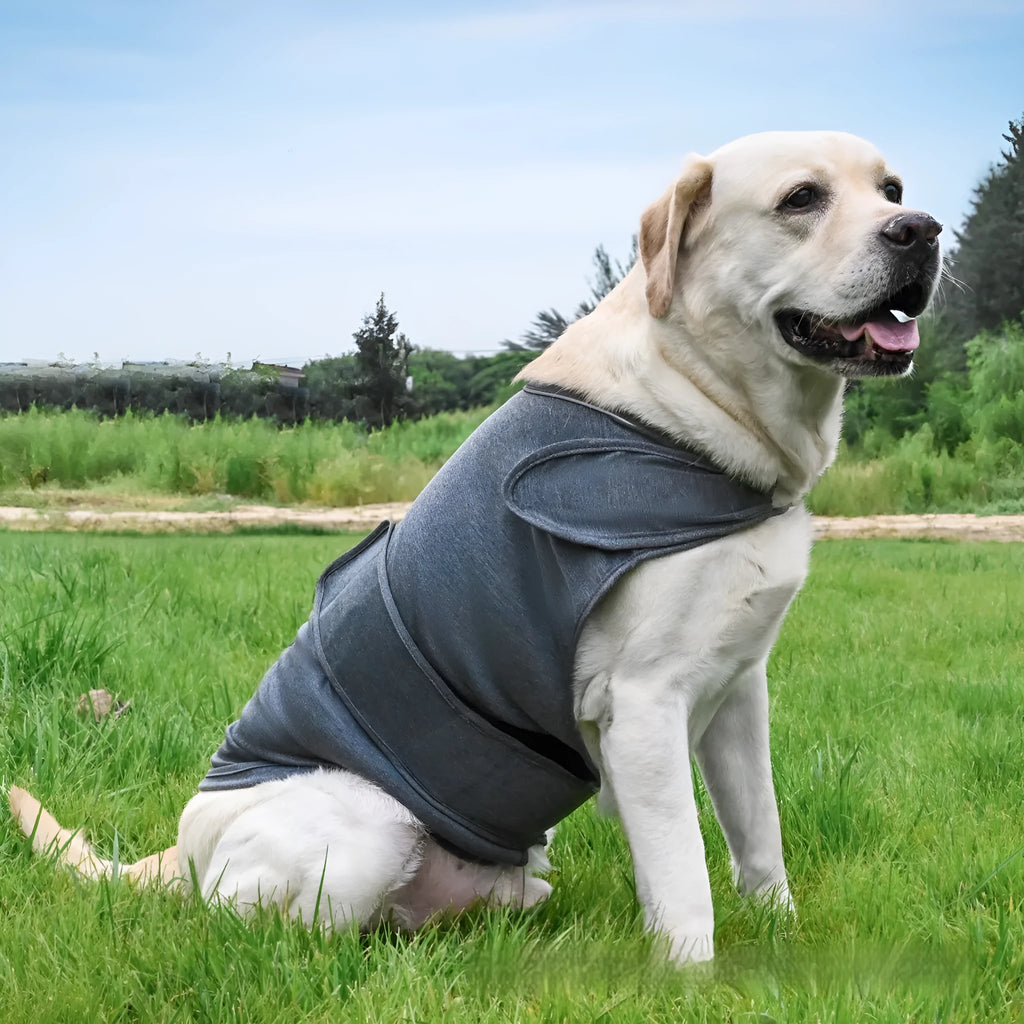 Dog wearing brocade cotton ponte de roma calming vest for separation anxiety in tank top style