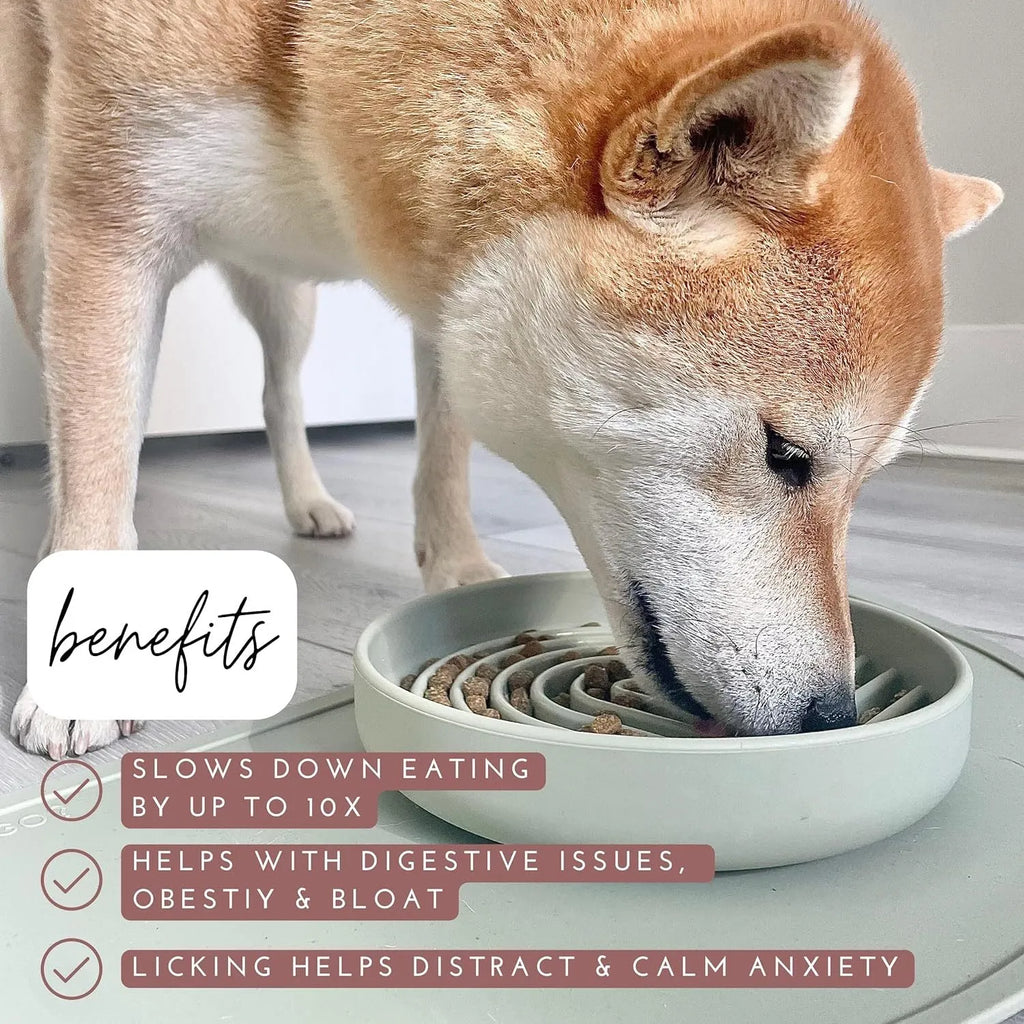 Silicone slow feeder dog bowl with textured ridges, shown in mustard green colour