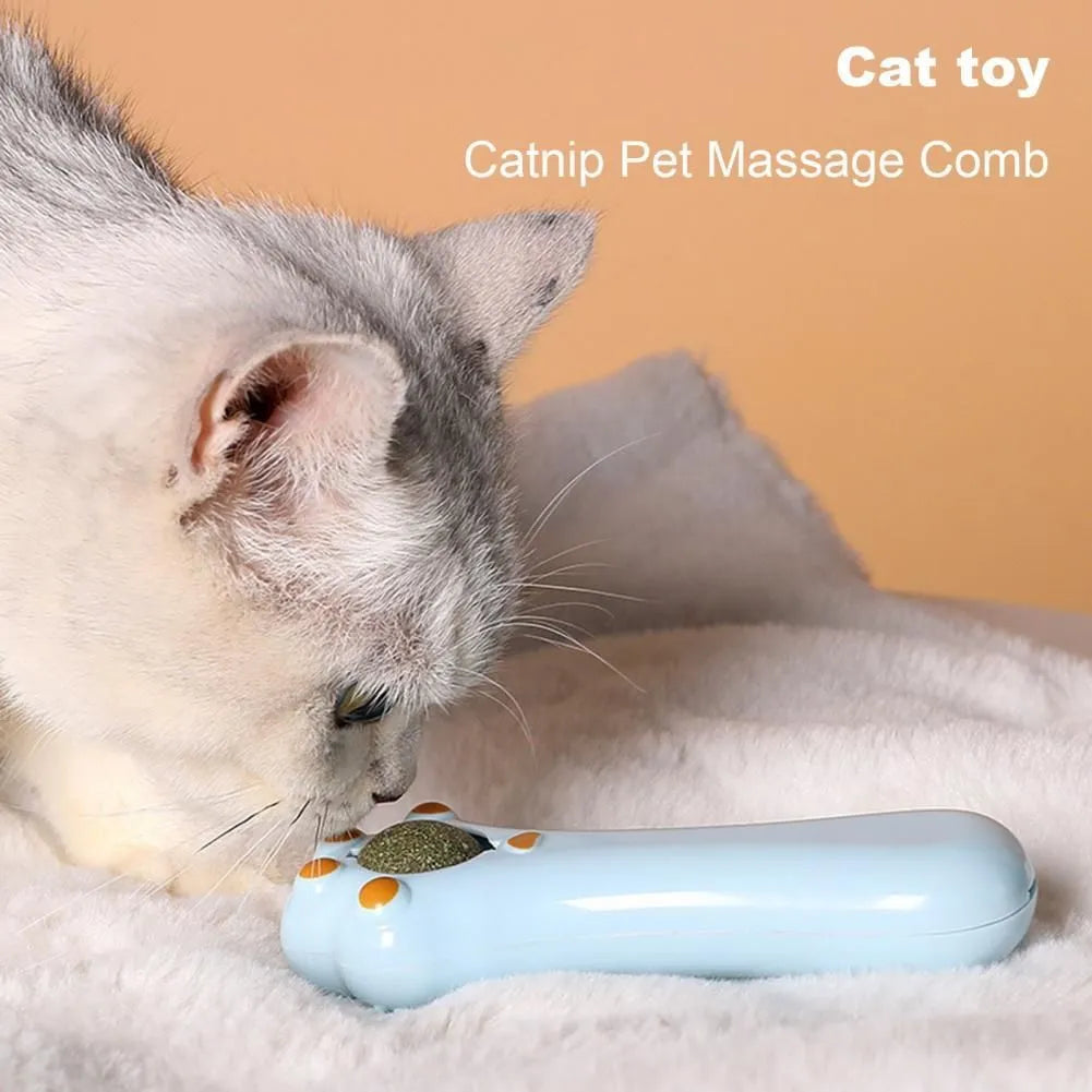 Cartoon design cat massage comb and dental care toy with rounded teeth