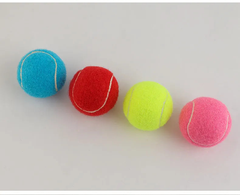 Colourful 6.3cm diameter rubber dog tennis ball toy in blue, green, pink, and red on a white background.
