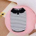 Pet wearing a striped cotton t-shirt and matching skirt summer outfit set