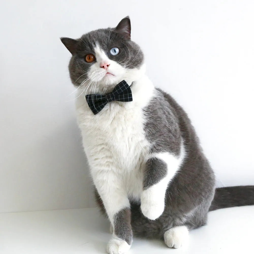 British-style pet bow tie and hair band set with elastic headband for small dogs and cats