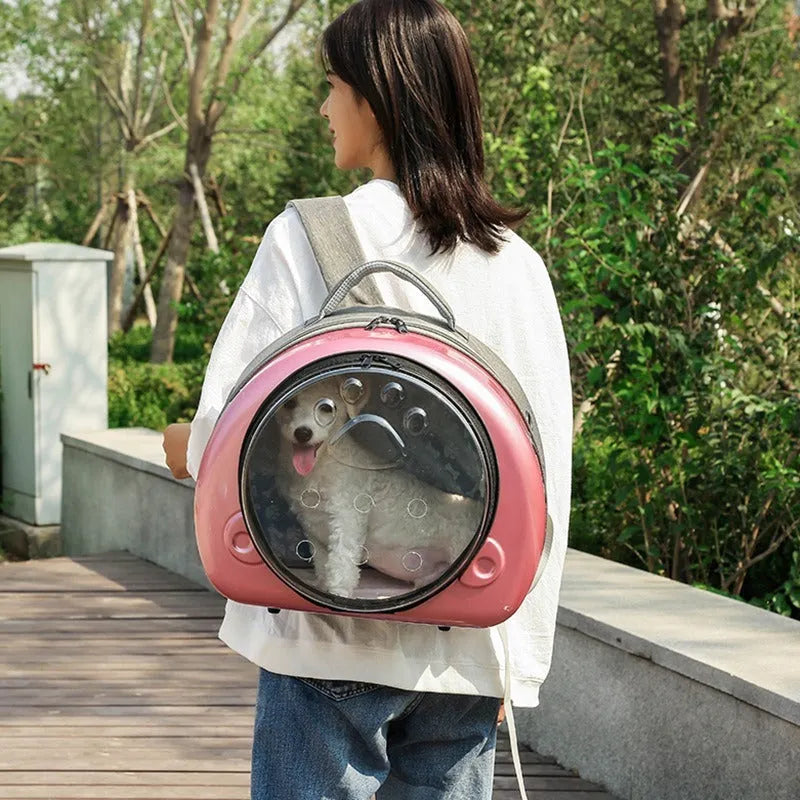Transparent space capsule pet carrier bag for cats in rose gold, luxury silver, or champagne gold.