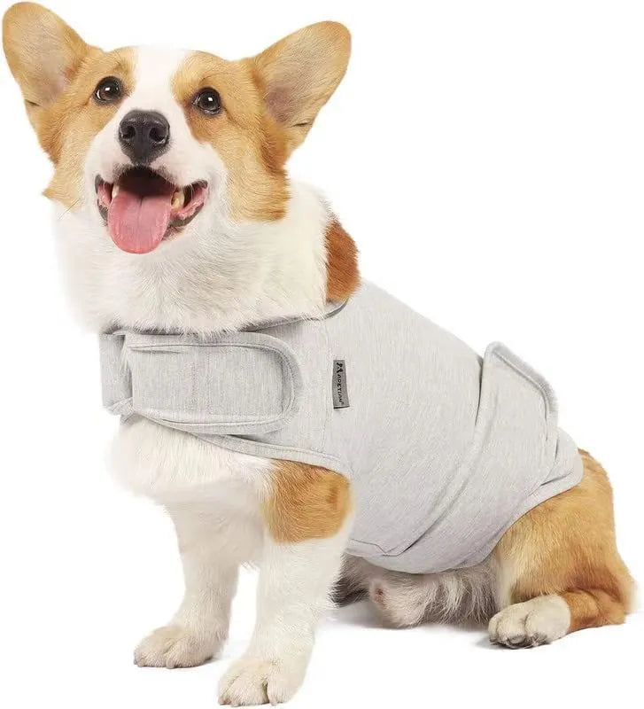Dog wearing brocade cotton ponte de roma calming vest for separation anxiety in tank top style