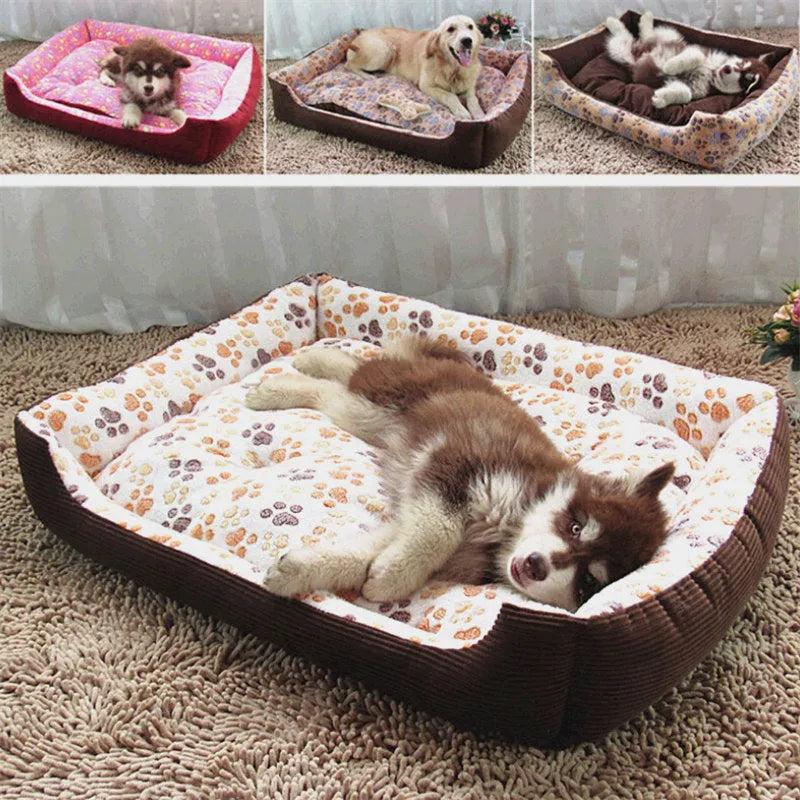 Orthopaedic foam dog bed with plush cover in beige, showing sofa-style raised edges and available in six sizes