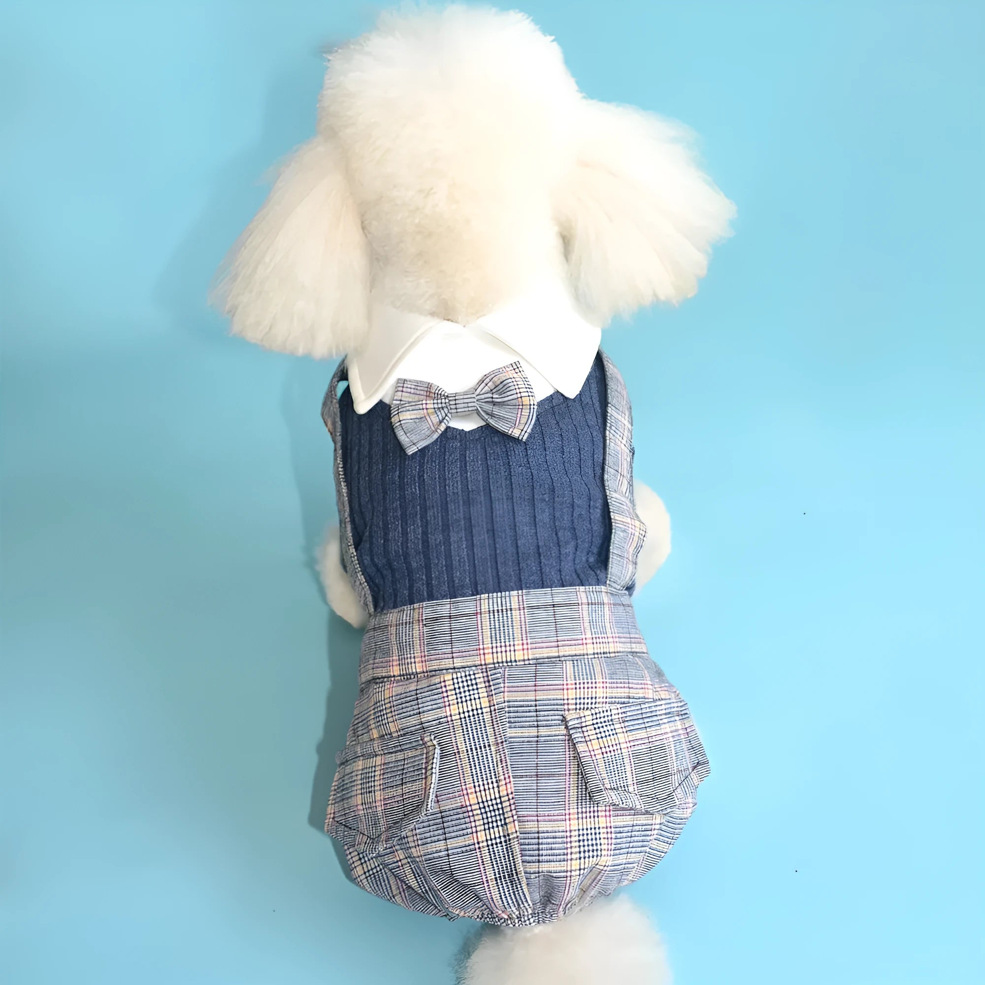 Cotton dog suit shirt for small dogs in orange and dark blue colours with size options