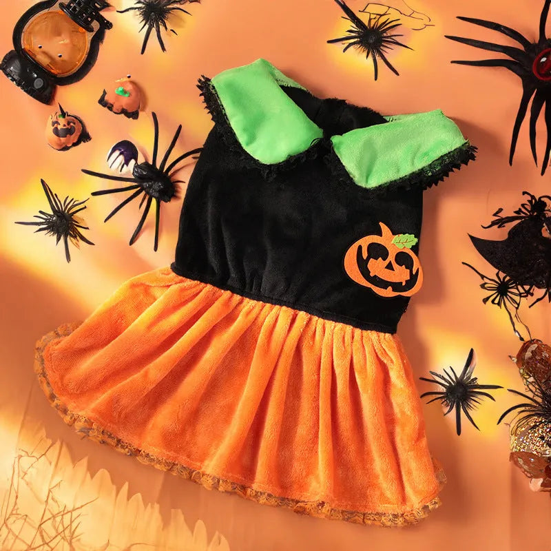 Halloween pumpkin skirt and sweater pet costumes in crystal velvet for dogs and cats