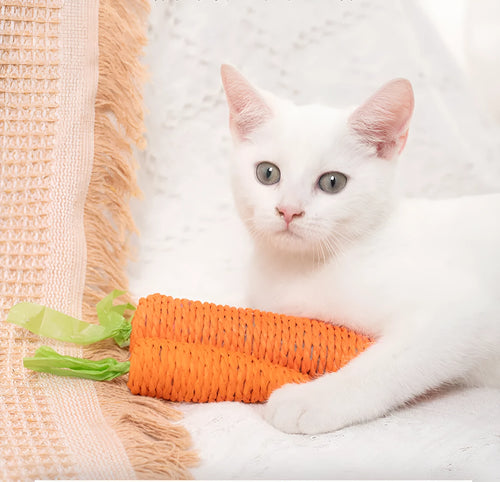 Assortment of cat toys including paper carrots, plastic ringing stones, and wooden grinding sticks on a plain background.