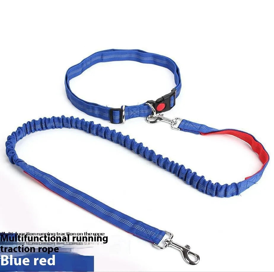 Grey and blue reflective nylon dog leash with elastic sling section for outdoor running.