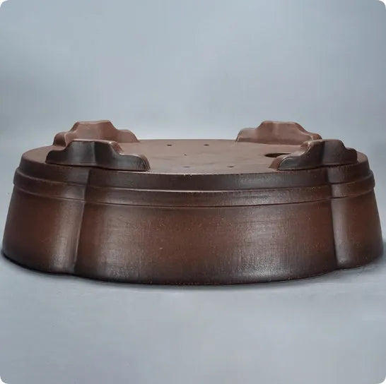 Classical purple clay ceramic bonsai pot with old pile finish, shown on a tabletop.