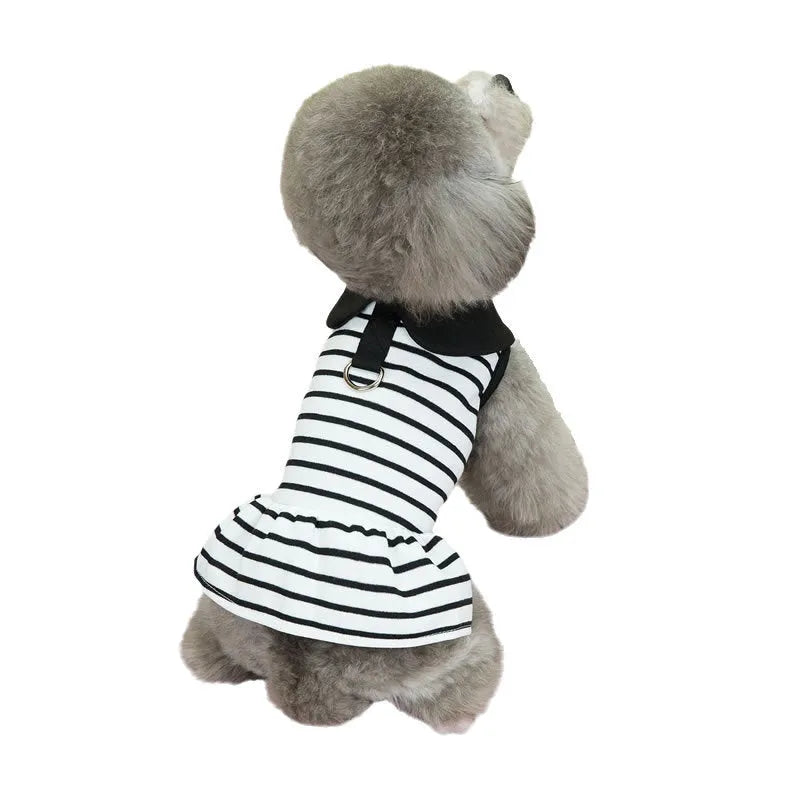 Pet wearing a striped cotton t-shirt and matching skirt summer outfit set