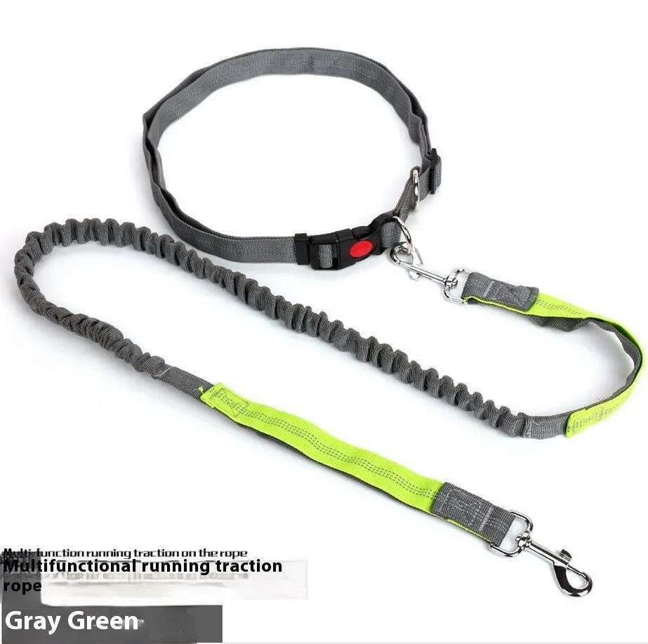 Grey and blue reflective nylon dog leash with elastic sling section for outdoor running.