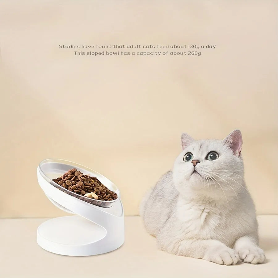 Clear plastic tilted cat food bowl on a flat surface