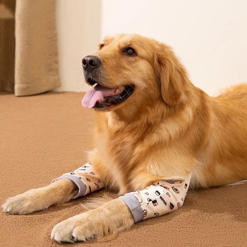 Blue dog elbow support wrap with extra padding and matching scarf on medium-sized dog