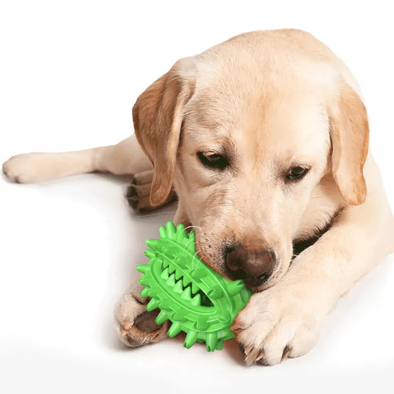 Green cactus-shaped dog chew toy with textured bumps and central food channel for dental cleaning
