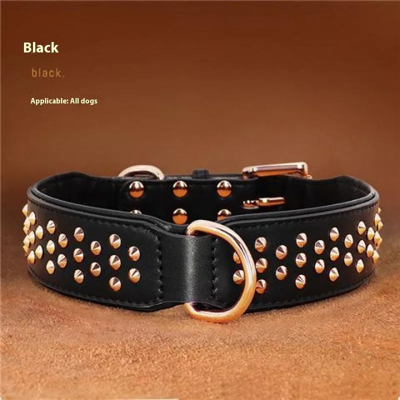 Leather dog collar in chocolate colour with visible rivets, shown on a large dog.