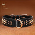 Leather dog collar in chocolate colour with visible rivets, shown on a large dog.