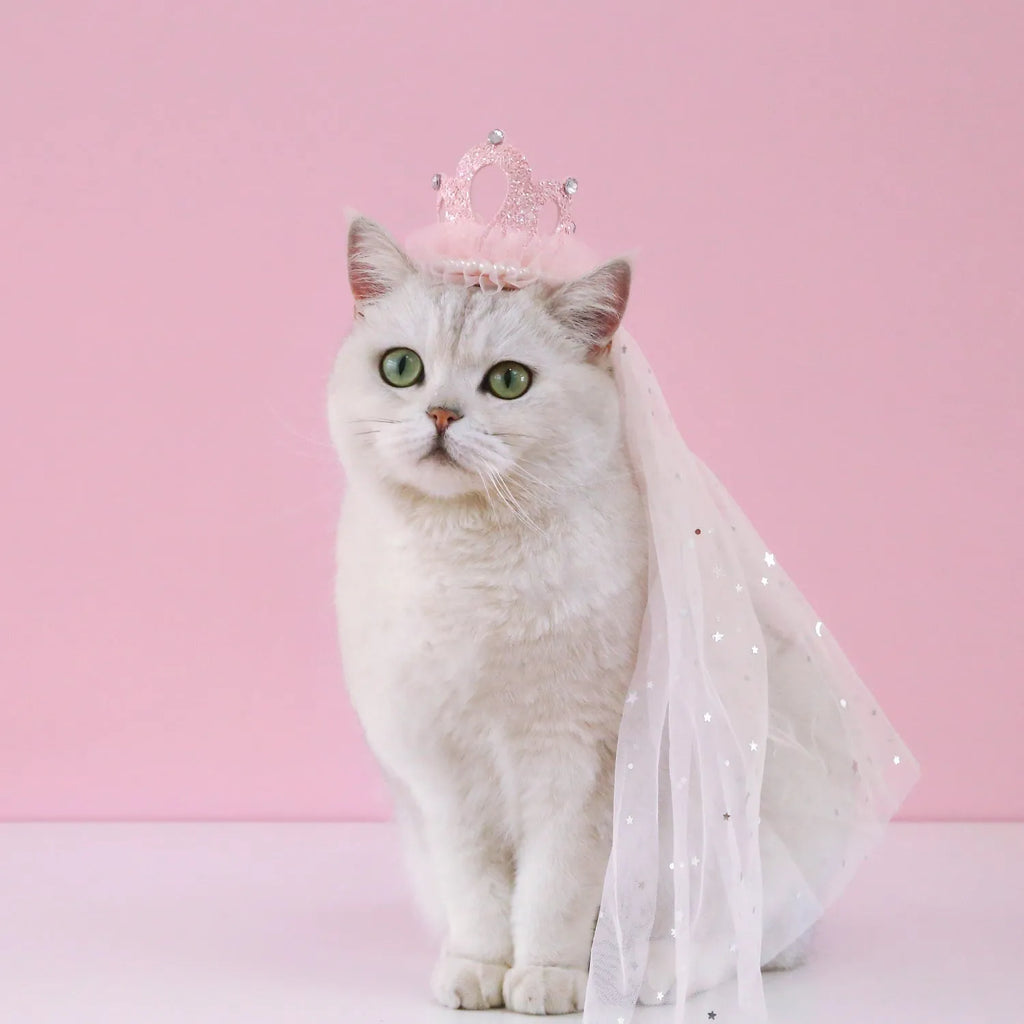 Pet wearing princess crown headdress with beige veil for wedding celebration accessory