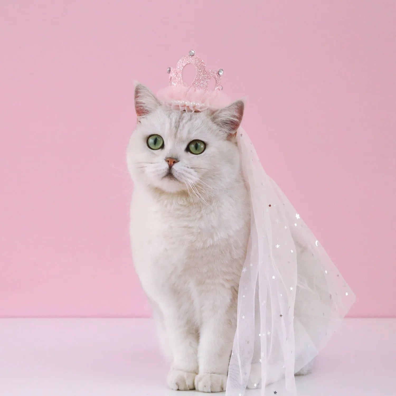 Pet wearing princess crown headdress with beige veil for wedding celebration accessory