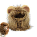 Lion mane wig costume with artificial hair on a cat, showing adjustable elastic band