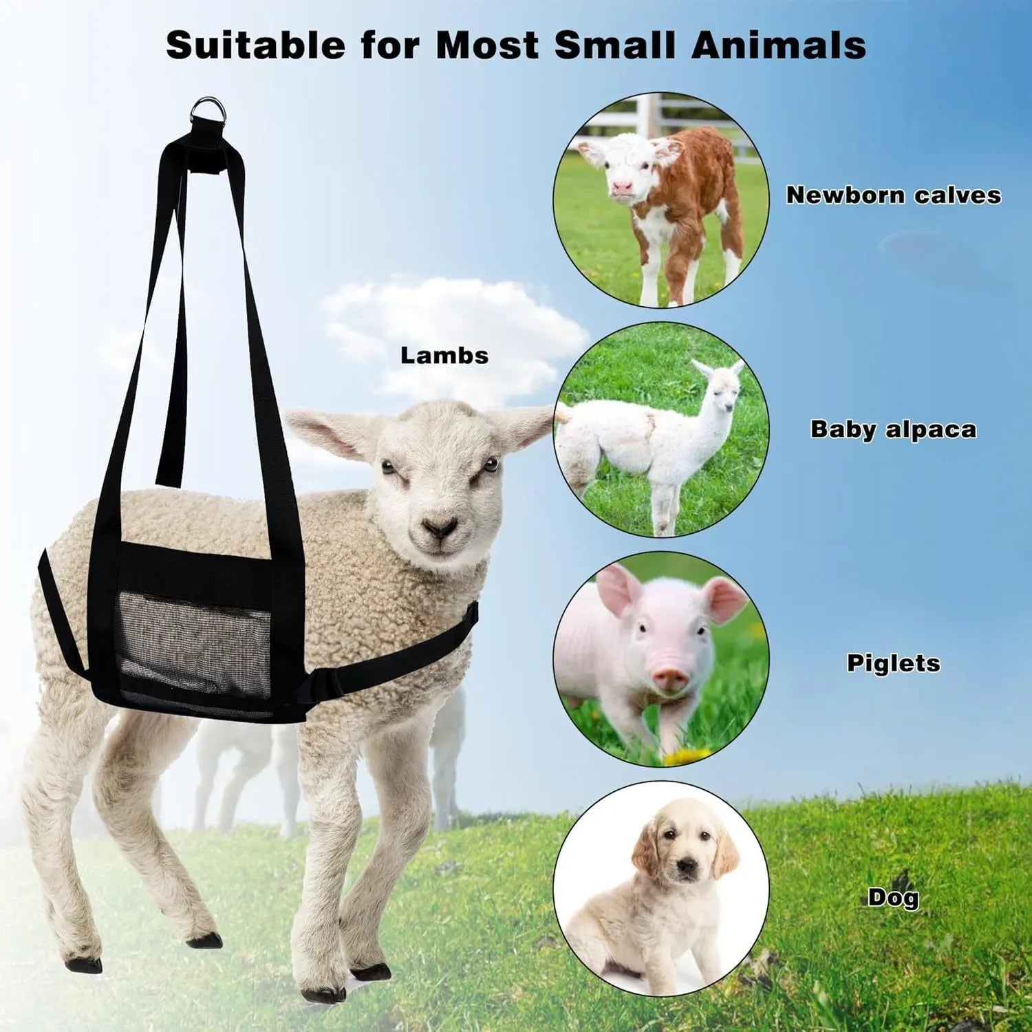 Large black livestock weighing sling measuring 35cm by 150cm with four attachment points.