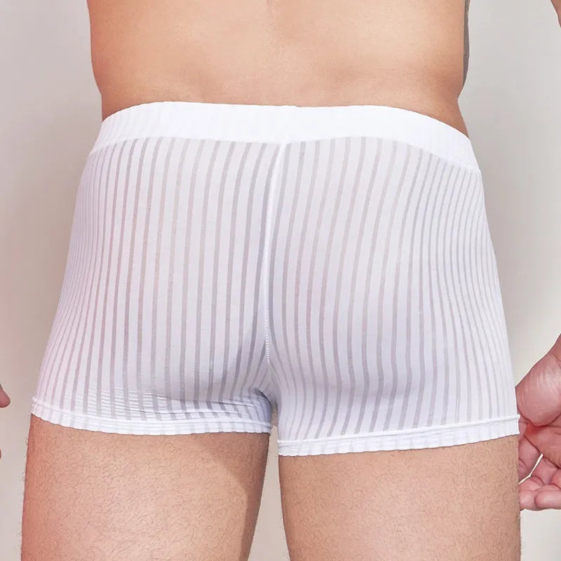 Men's black striped nylon underwear laid flat, showing thin transparent fabric and free-size fit.