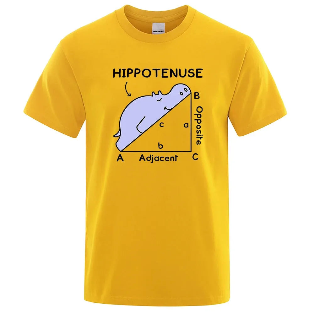 Front view of white cotton t-shirt with black 'Hippotenuse Opposite Adjacent' maths humour print in loose fit style