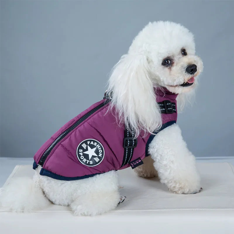 Red waterproof dog coat with integrated harness on a Labrador retriever