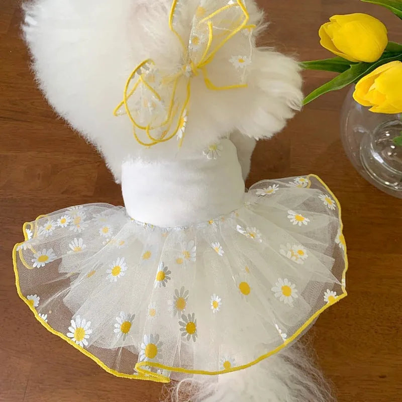 Yellow little daisy pattern polyester dog clothes for summer wear in sizes XS S M L XL