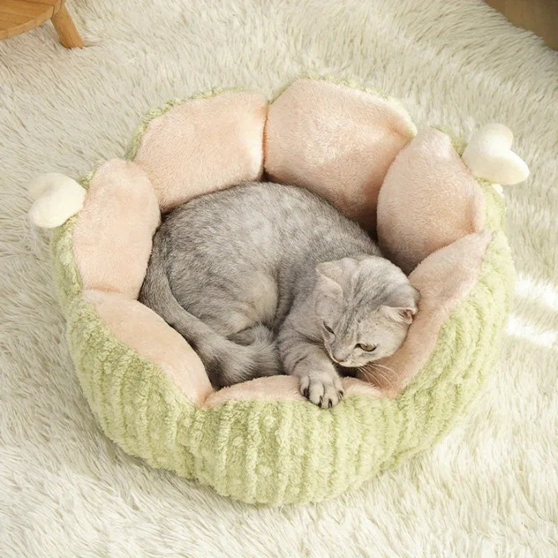 Green cactus pattern soft fabric cat kennel next to a purple one, showing large and small size options.