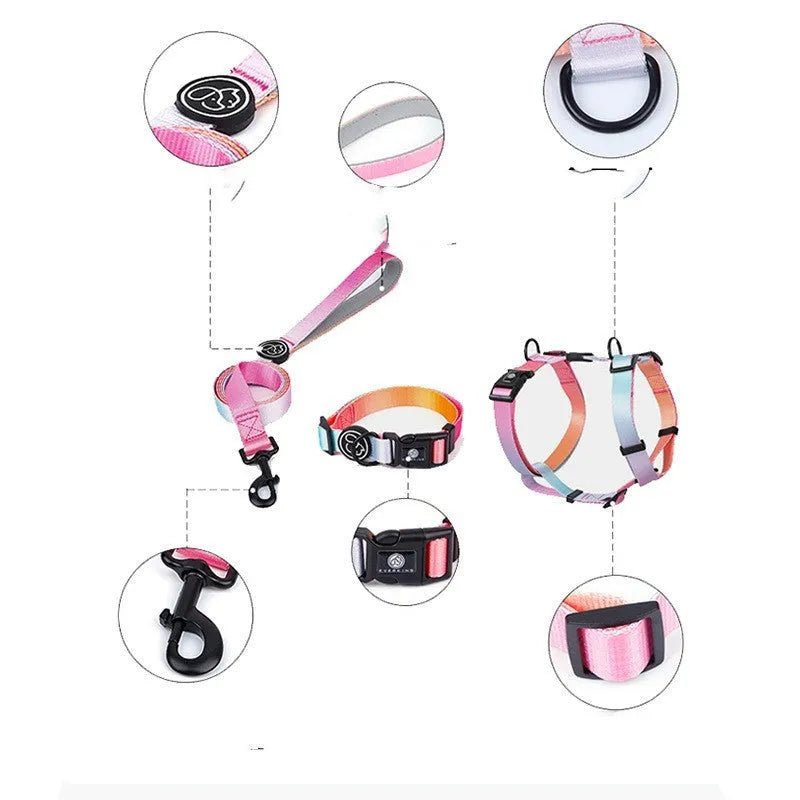 Gradient colour dog chest strap harness in four design options with secure chest and back fastening