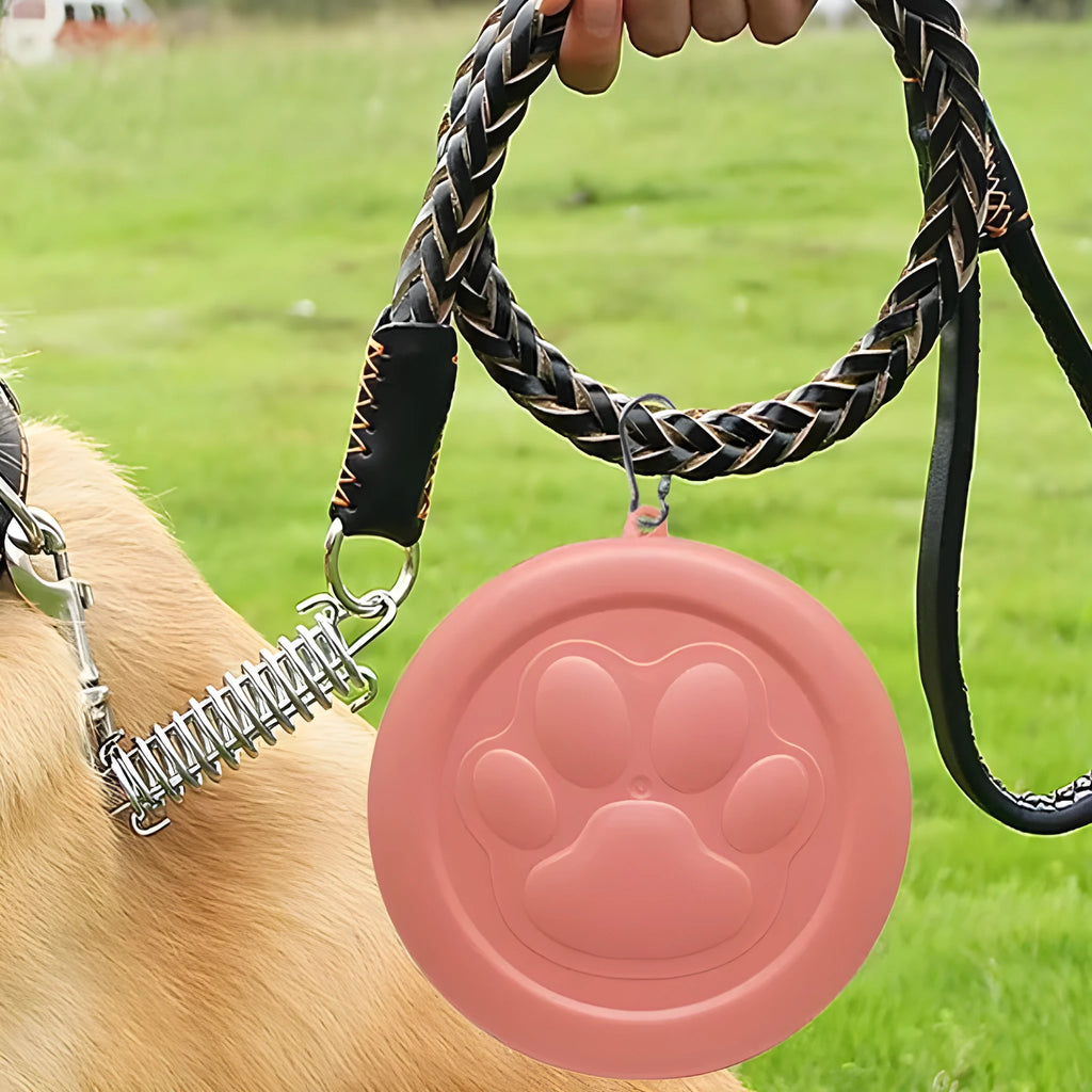 Collapsible silicone dog travel bowl in pink and green colour options