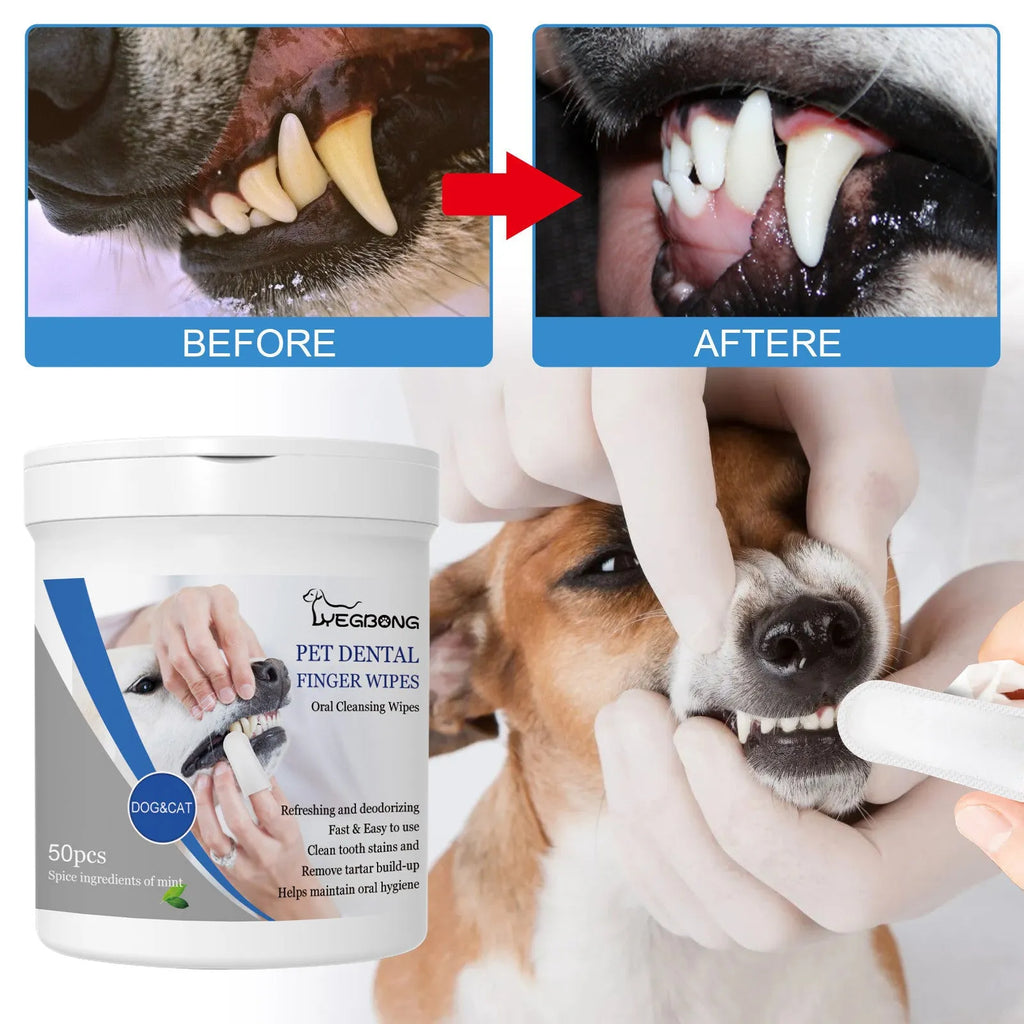 Dog dental care finger wipes with silicone finger stall, 50 pieces in canister