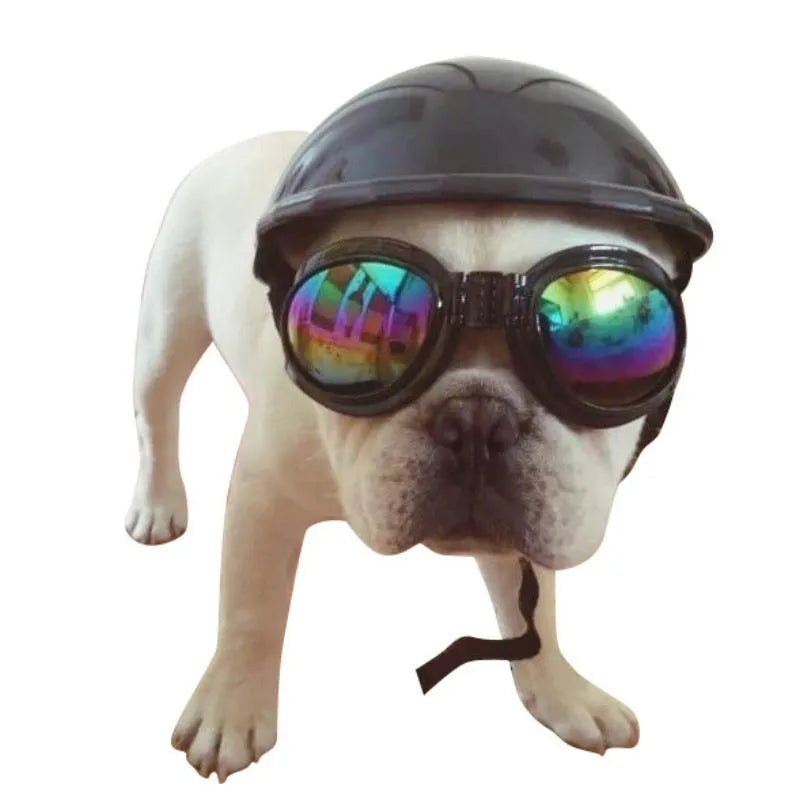 A pink plastic motorcycle cap helmet for a dog, shown alongside white, black, and yellow colour options.