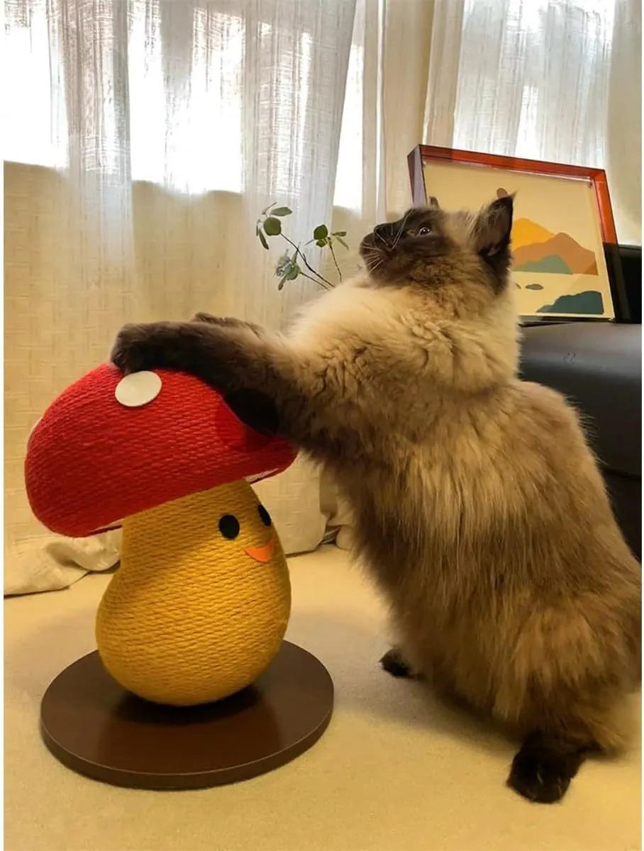 Foldable accordion design cardboard cat scratcher with round mushroom shape for furniture protection