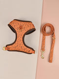 Polyester dog haulage rope and chest-back harness set in multiple colours for medium and large breeds