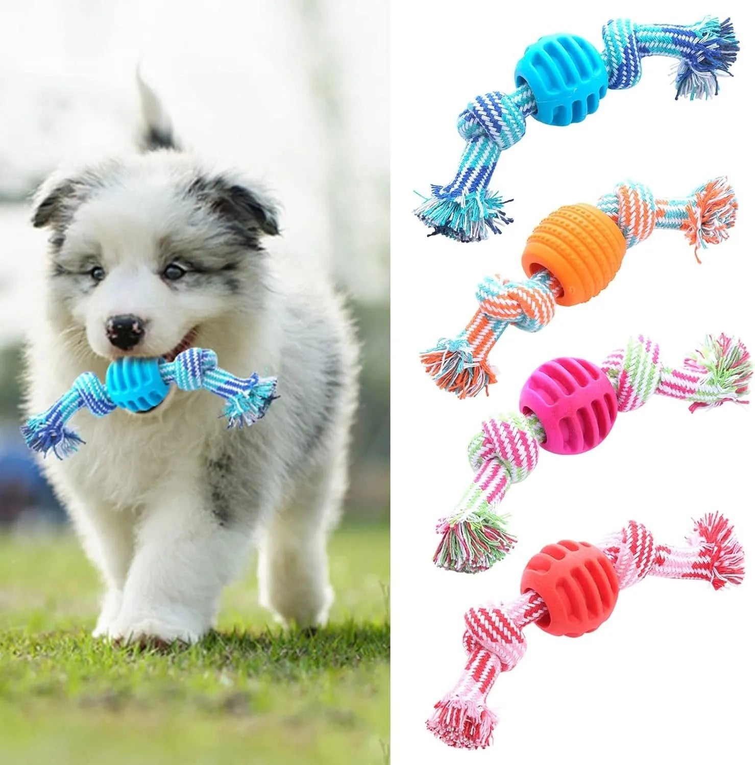 Blue molar-shaped dog chew toy with white ropes for teeth cleaning