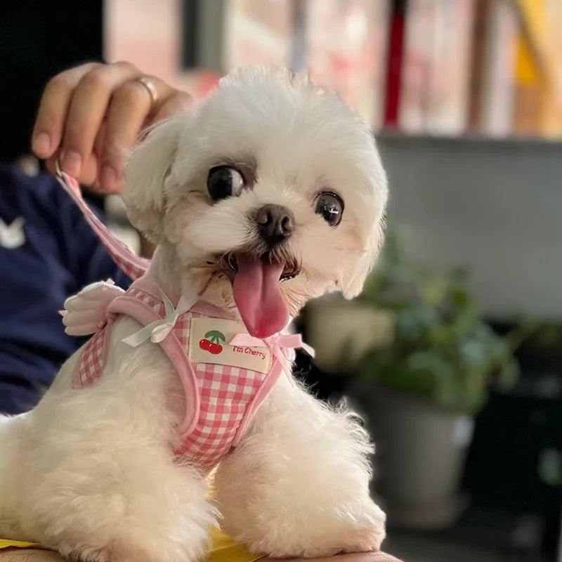Small dog harness with chest and back attachments and cotton hand-holding rope in pink or black colours
