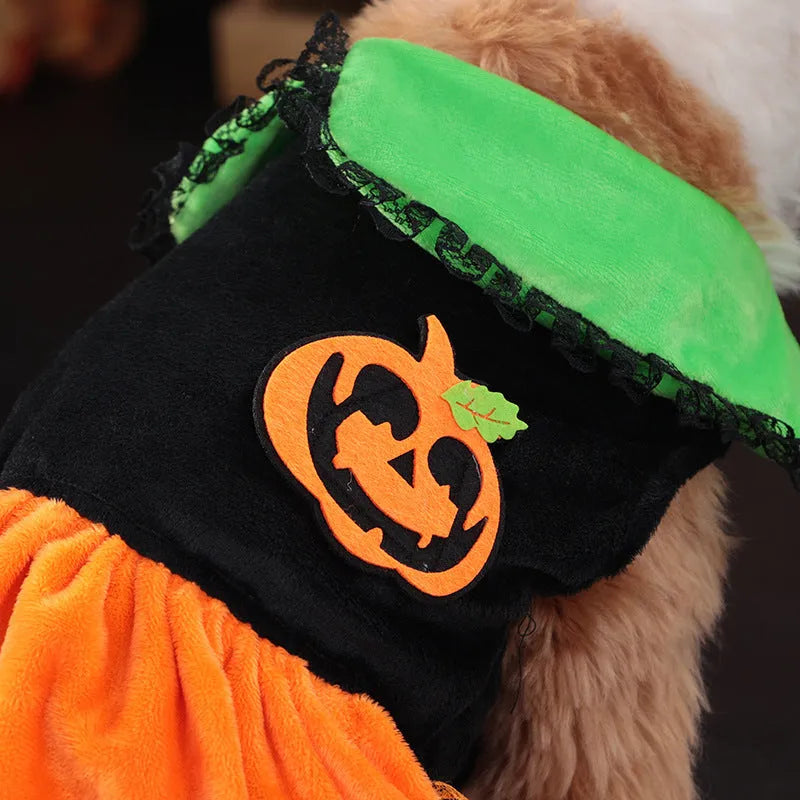 Halloween pumpkin skirt and sweater pet costumes in crystal velvet for dogs and cats