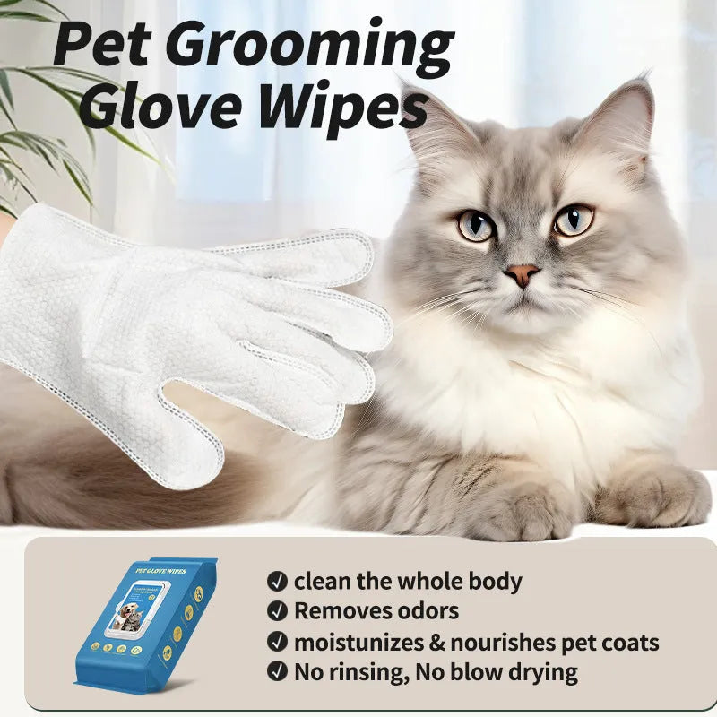 Disposable pet gloves for cat and dog bath cleaning in multi-pack options