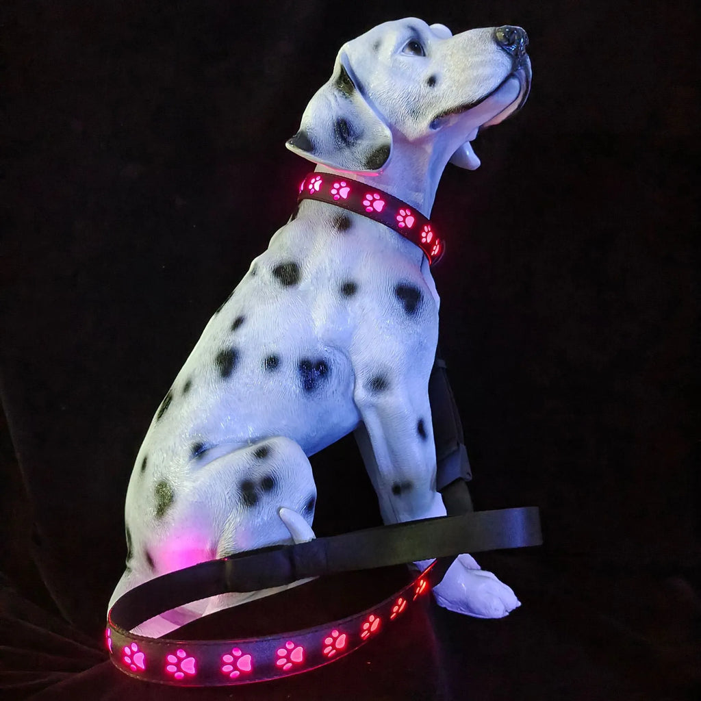 LED luminous cat collar with paw print pattern showing 7 colour changing effects