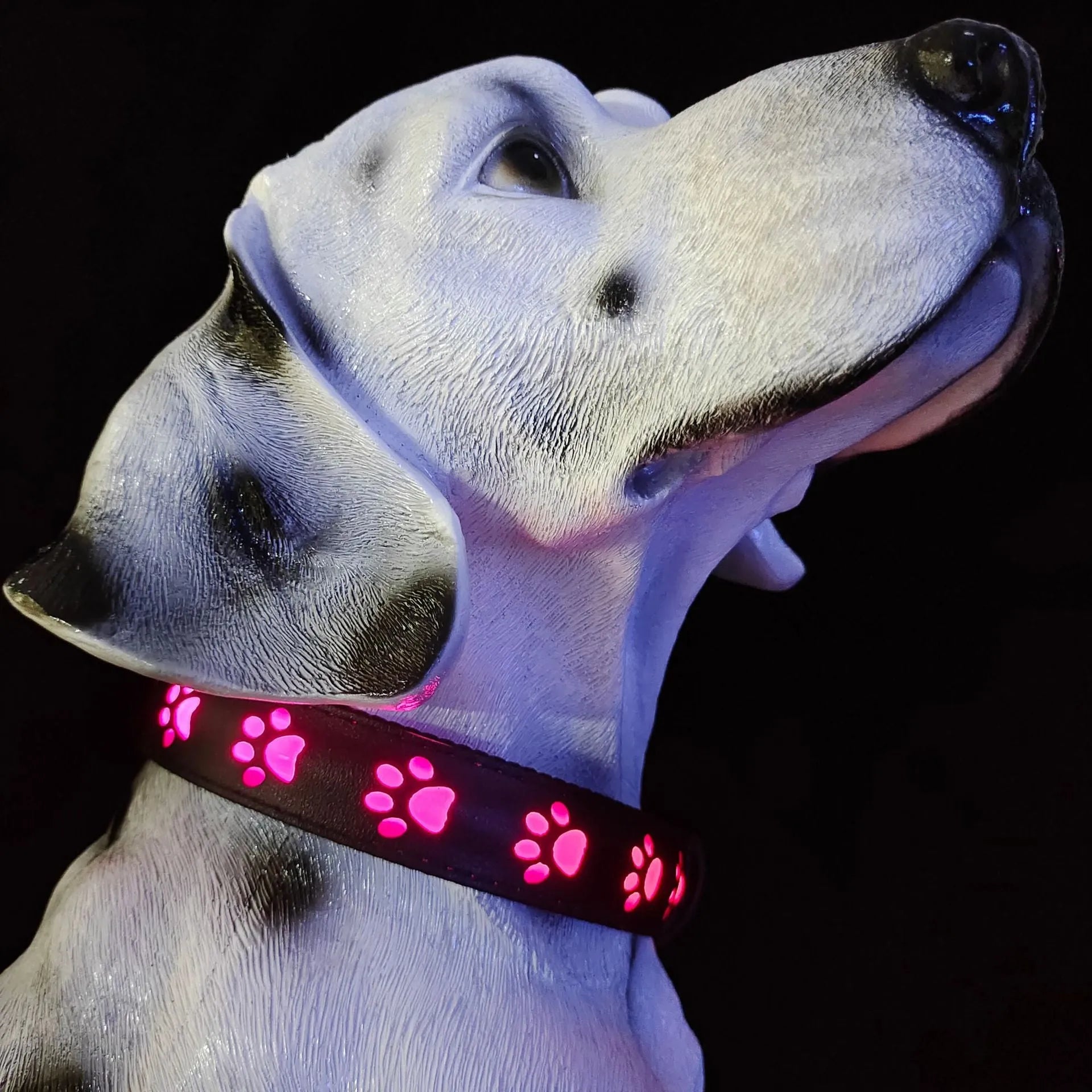 LED luminous cat collar with paw print pattern showing 7 colour changing effects