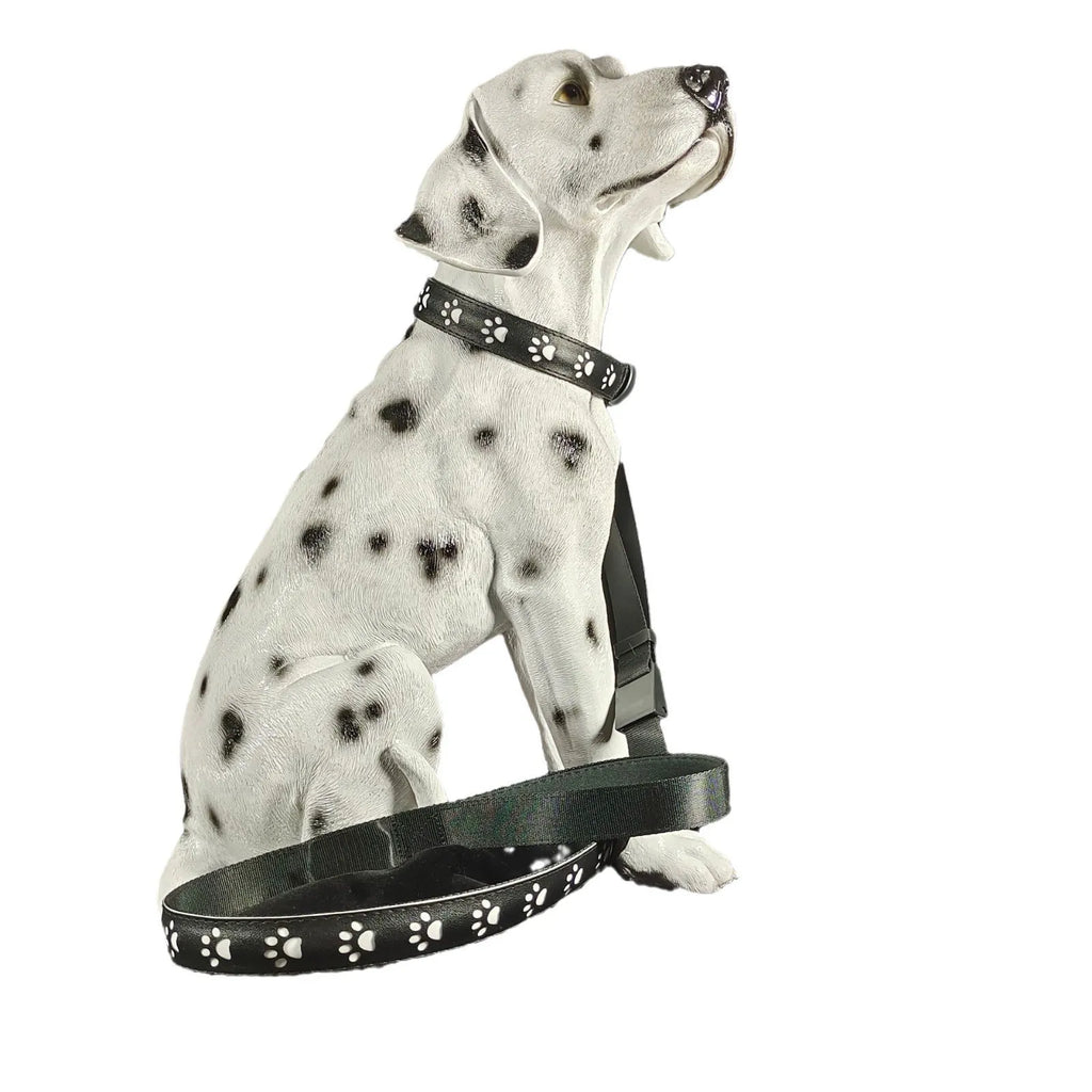 LED luminous cat collar with paw print pattern showing 7 colour changing effects